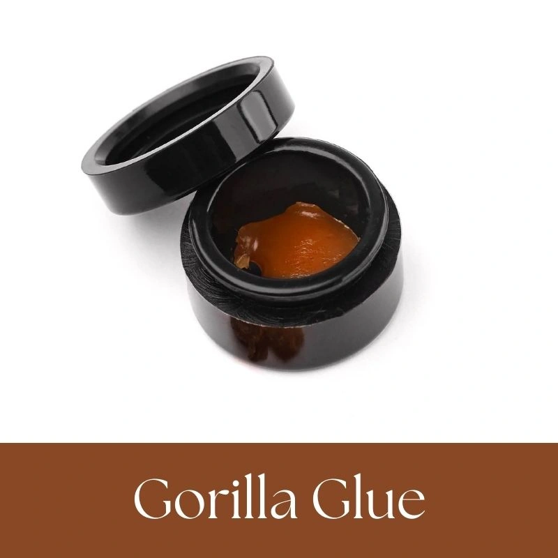 Budder Gorilla Glue