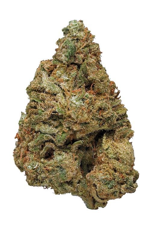 Blue Widow