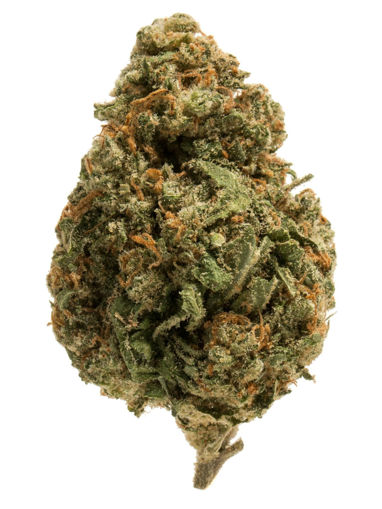 Super Cheese