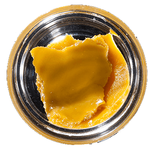 Budder Durban Poison