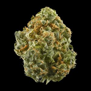 Blue Dream GD