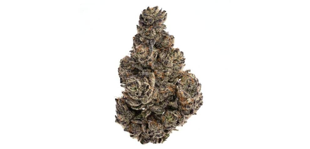 Mythical Truffles