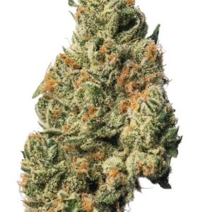 Citrus Blast GD