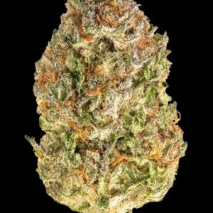 Fruit King