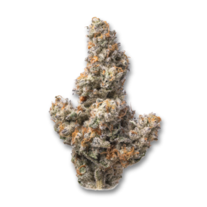Cap Junky