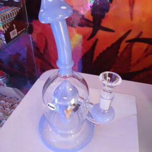 Custom Mushroom Glass Bong