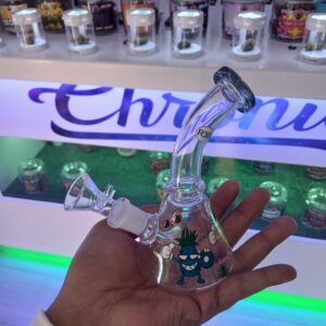 Small Glass Bong